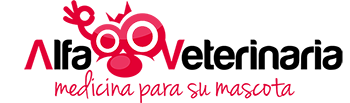 Centro veterinario en Castellón de la Plana 