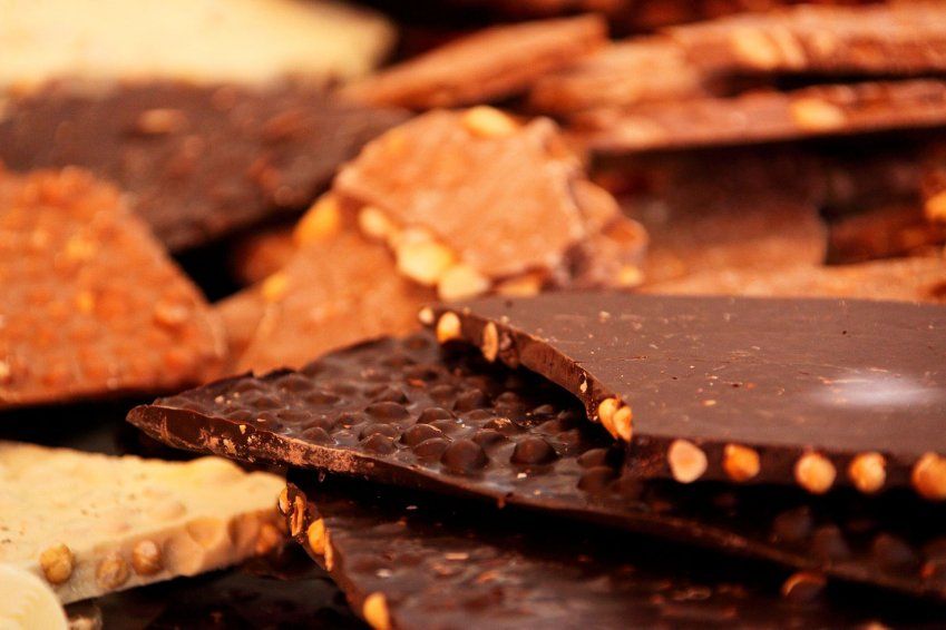 puede un perro morir de chocolate