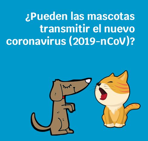 ¿Pueden las mascotas transmitir el nuevo coronavirus (COVID 19)?