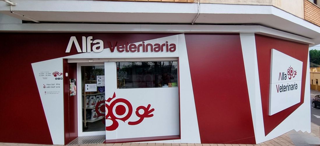 Consulta veterinaria en Castellón