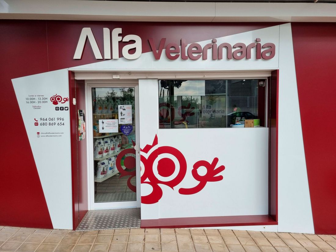 Consulta veterinaria en Castellón