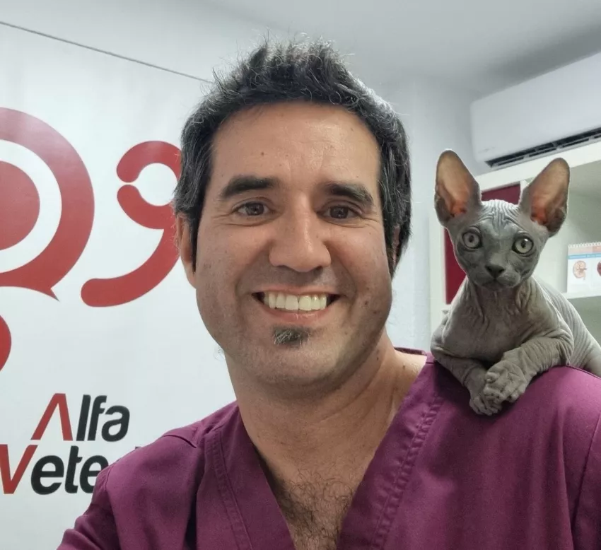Clínica amable con los gatos