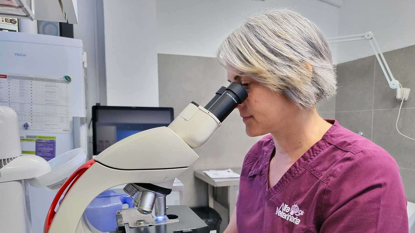 Atención veterinaria en Castellón