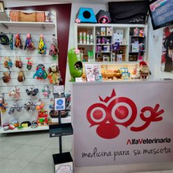 Consulta veterinaria en Castellón