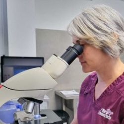 Atención veterinaria en Castellón