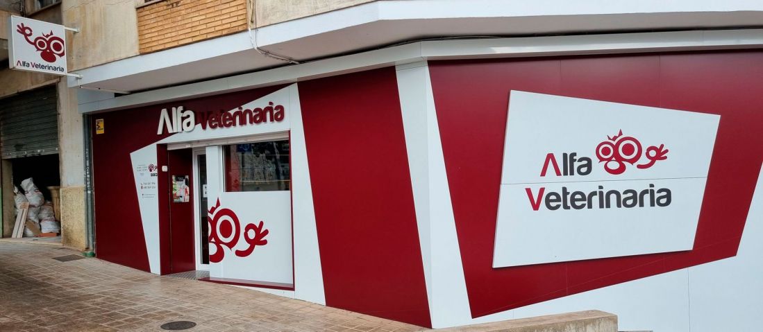 Consulta veterinaria en Castellón