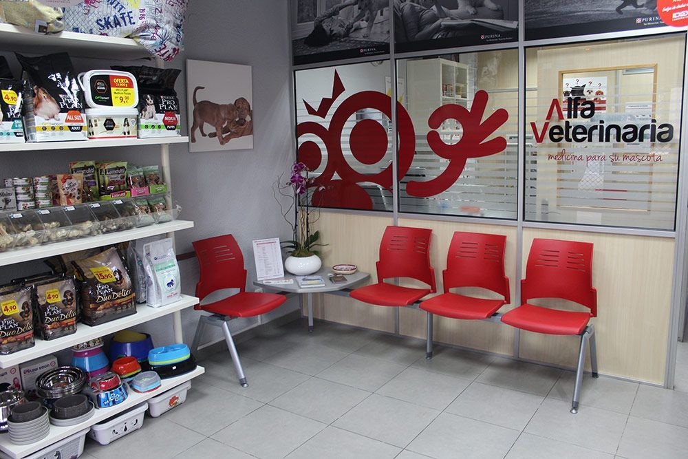 Consulta veterinaria Castellón