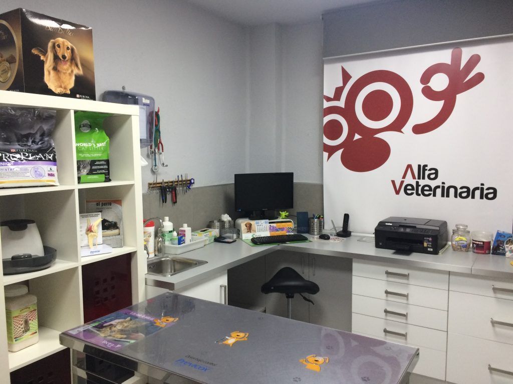 Consulta veterinaria Castellón