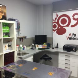 Consulta veterinaria Castellón