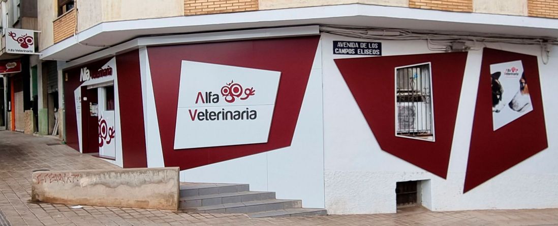 Consulta veterinaria en Castellón