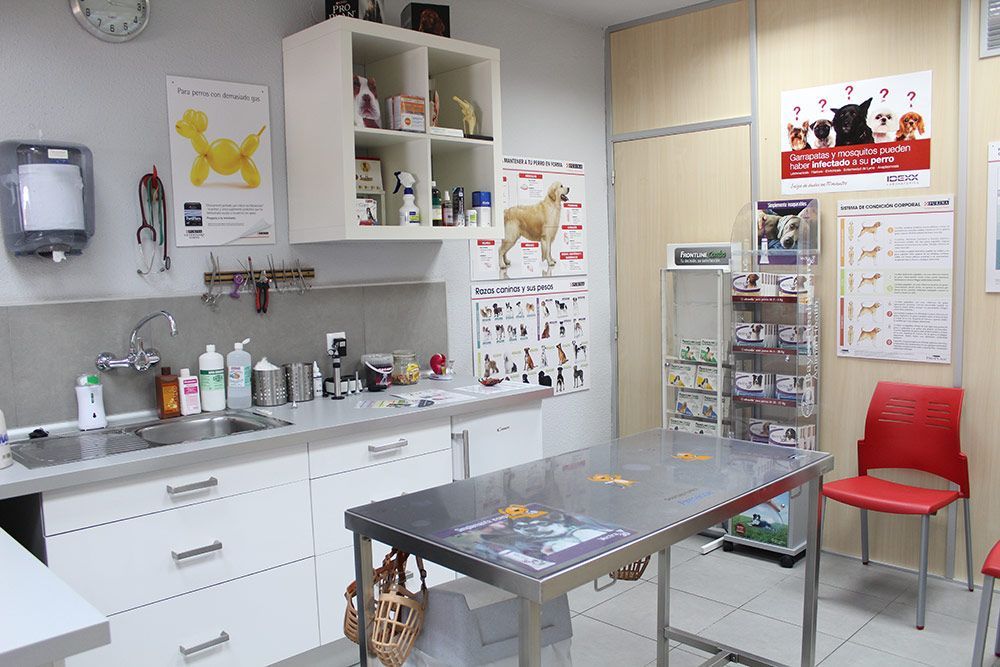 Consulta veterinaria Castellón