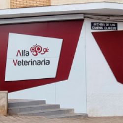 Consulta veterinaria en Castellón