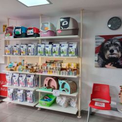 Consulta veterinaria en Castellón