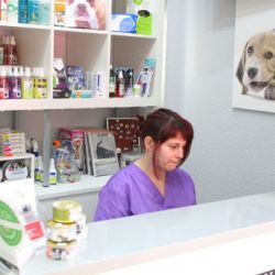 Consulta veterinaria en Castellón