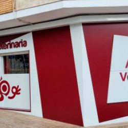 Consulta veterinaria en Castellón