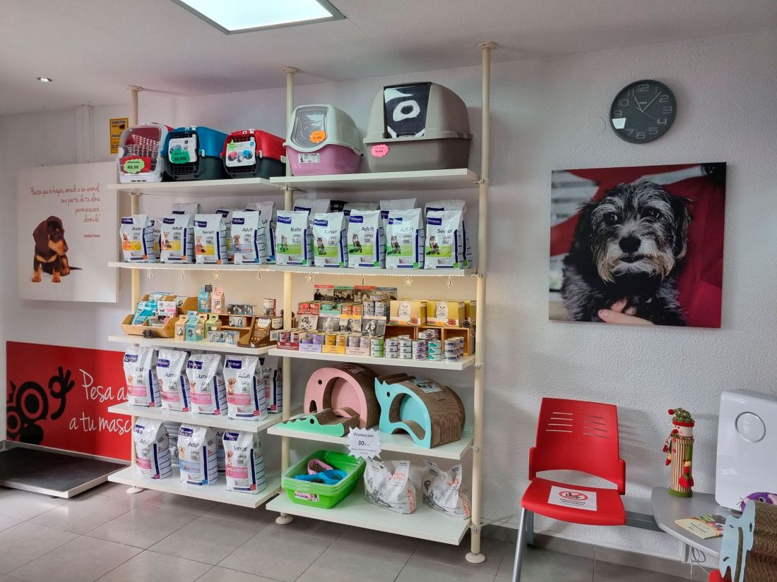 Consulta veterinaria en Castellón