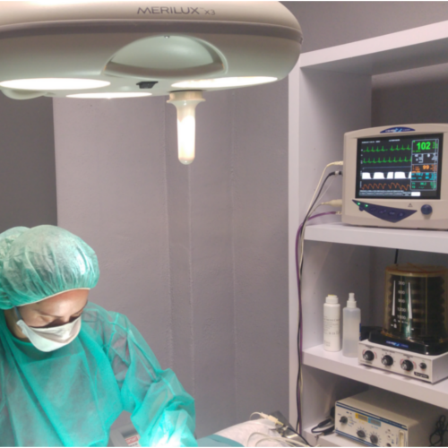 Odontología veterinaria en Castellón