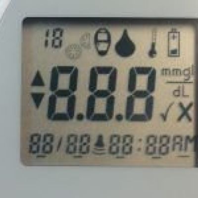 Endocrinología veterinaria en Castellón